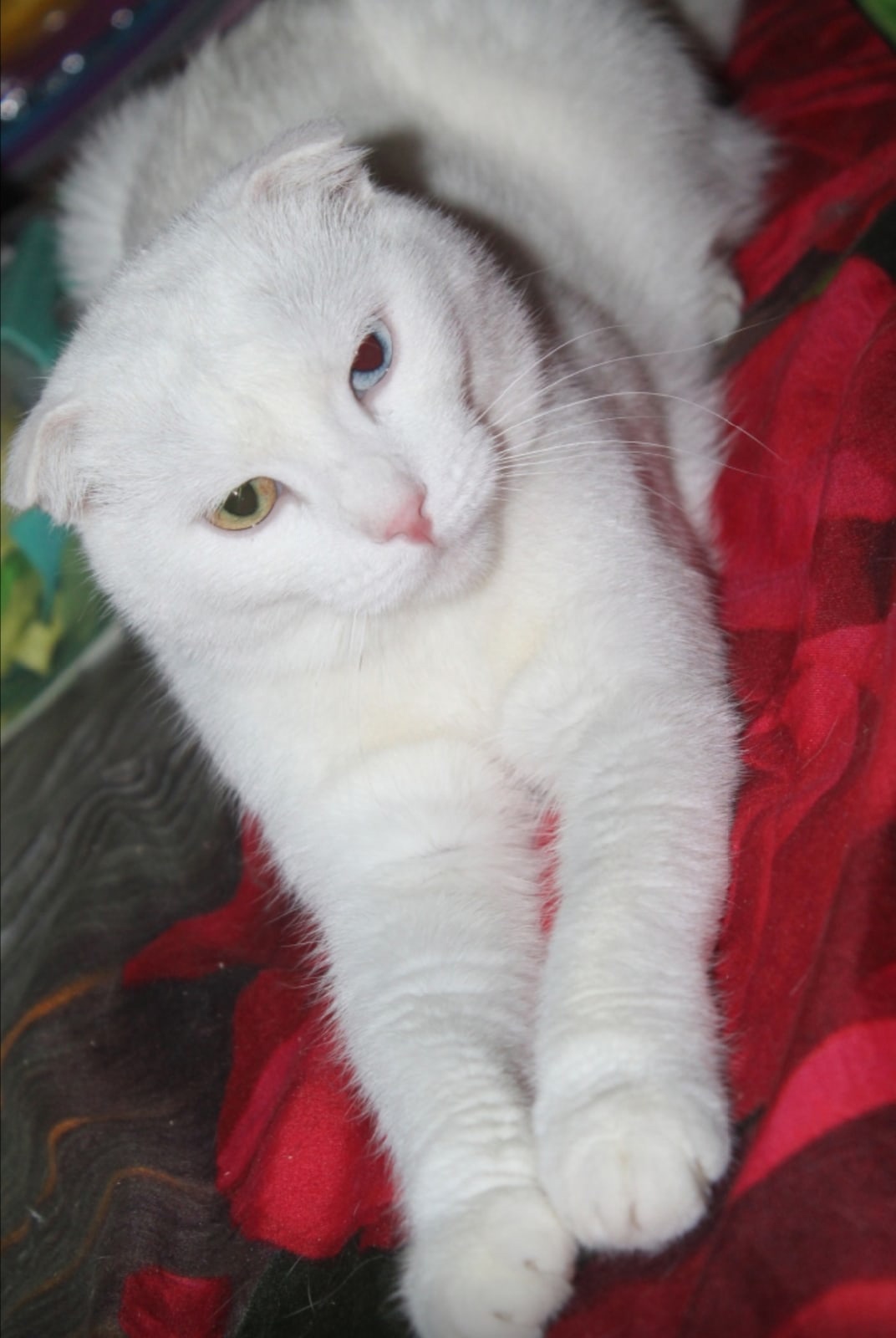 Куда пропало - моё хорошее настроение