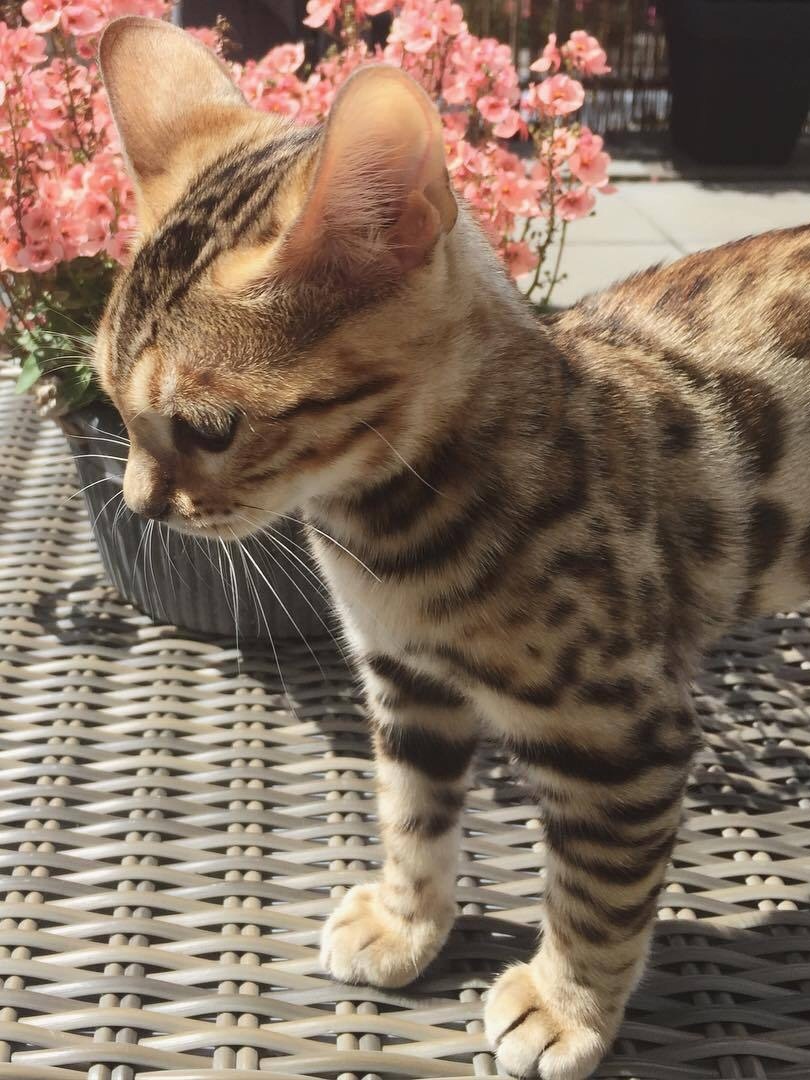 Так, сейчас что - нибудь натворю