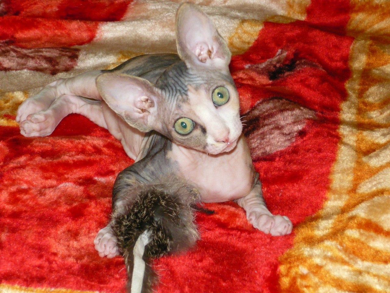 Игручая девчуля