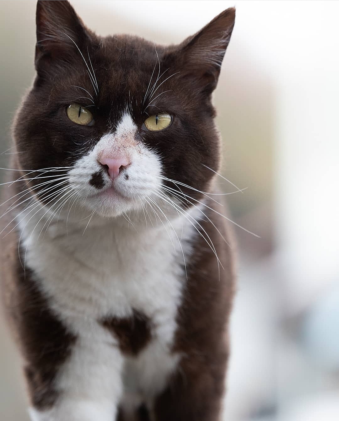 Бродяга по - жизни