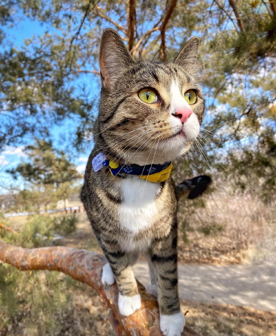 Как бы, ничего не упустить