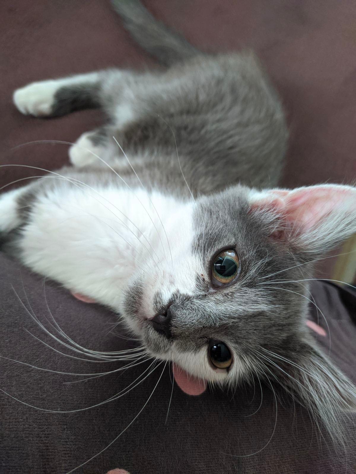 Всё по расписанию - обед, отдых