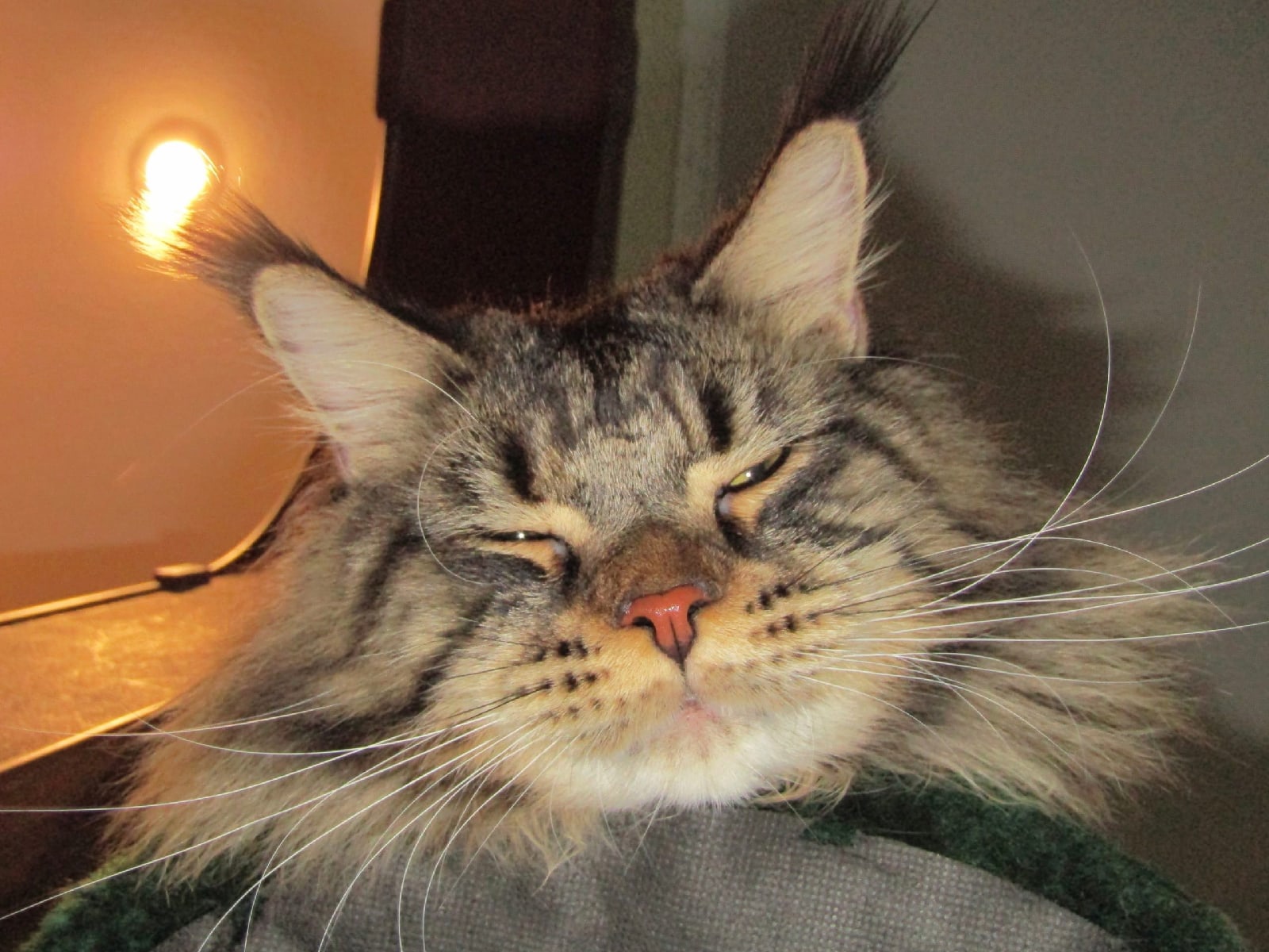 Всё, я спать