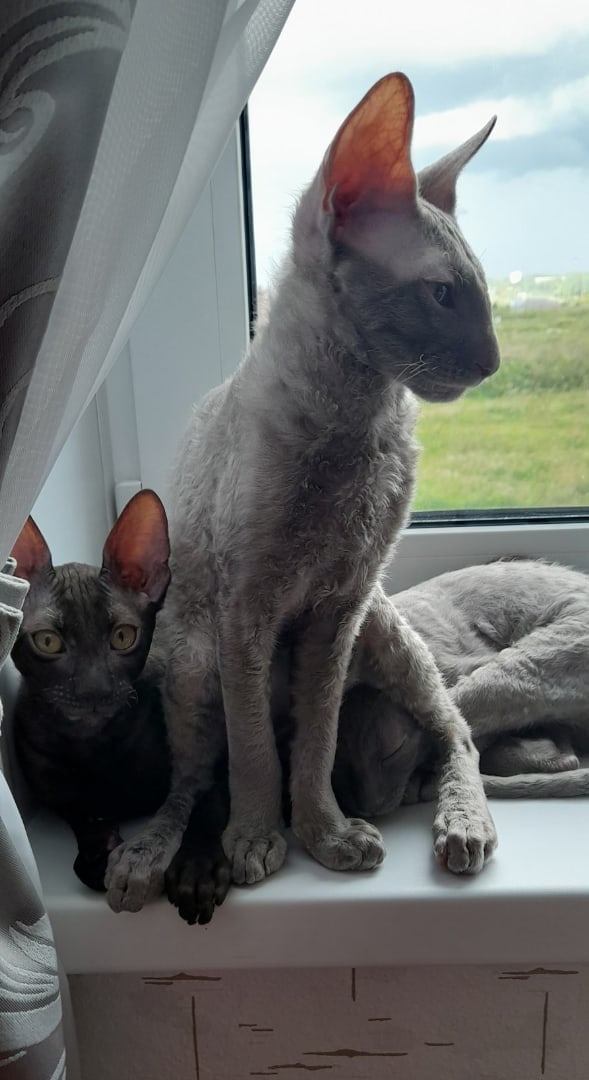 В тесноте, но не в обиде