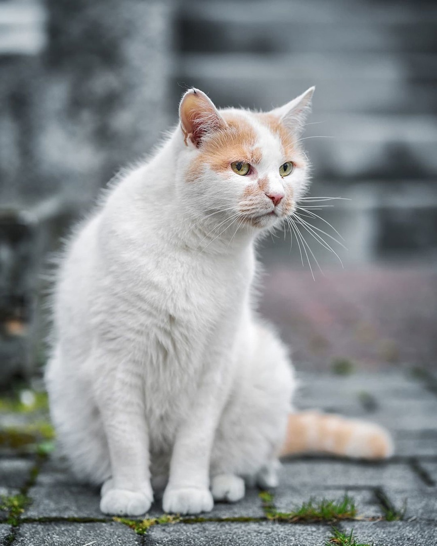 Куда сегодня мне податься