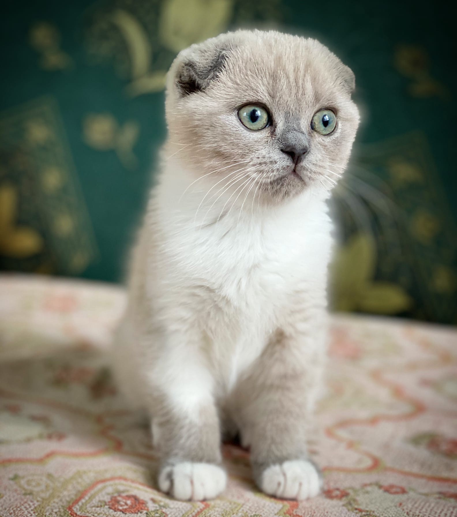 Что - то, я сегодня такая задумчивая