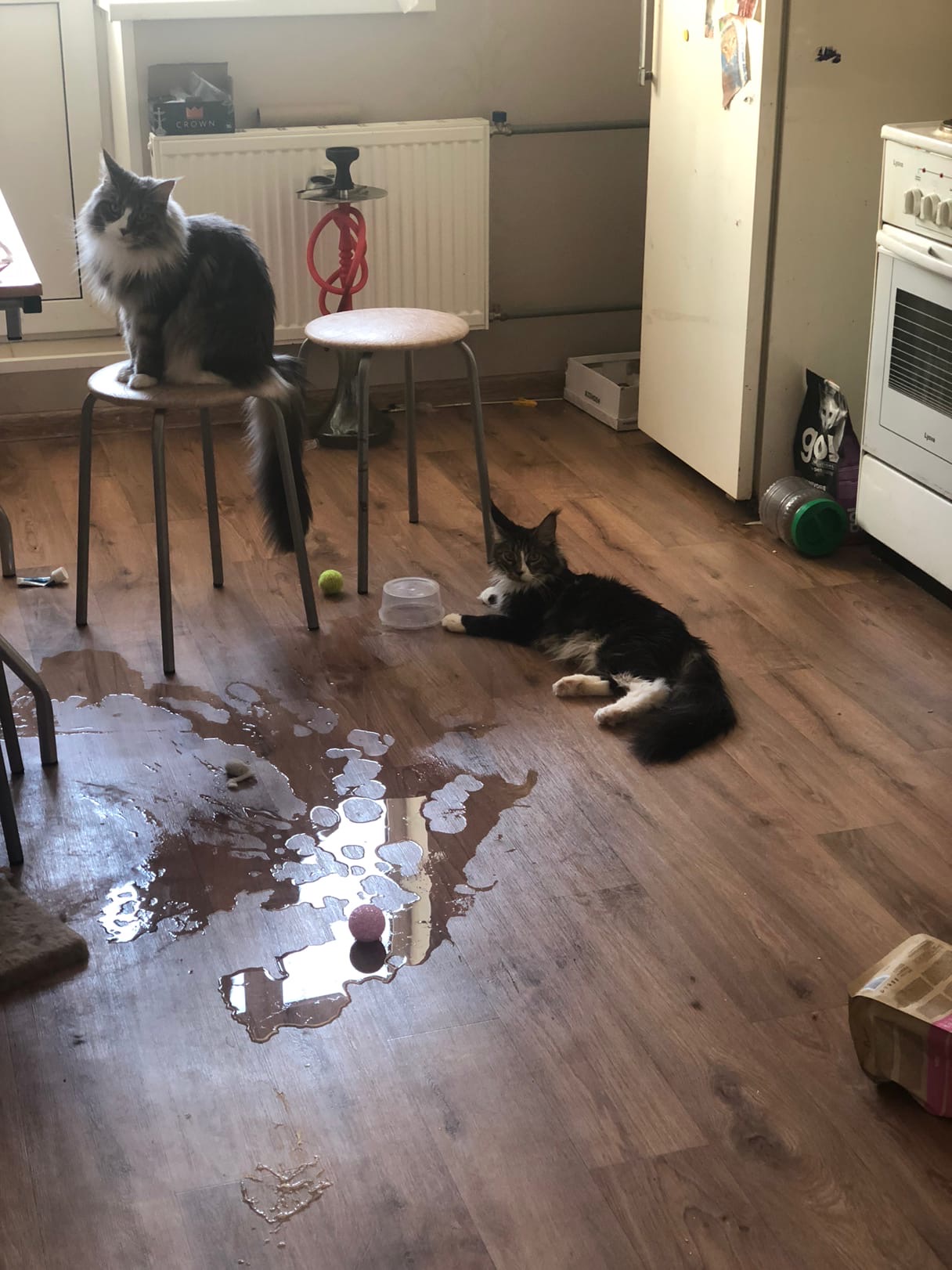 Ничё не знаем, это не мы