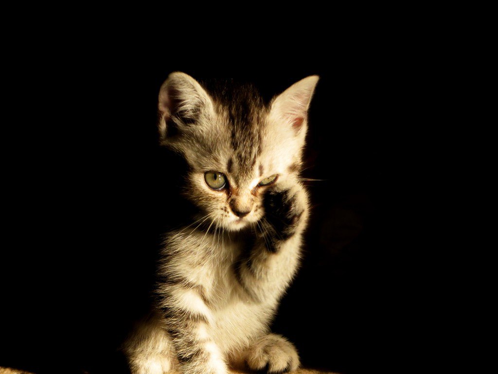 Мама сказала, что я большой и должен сам умываться