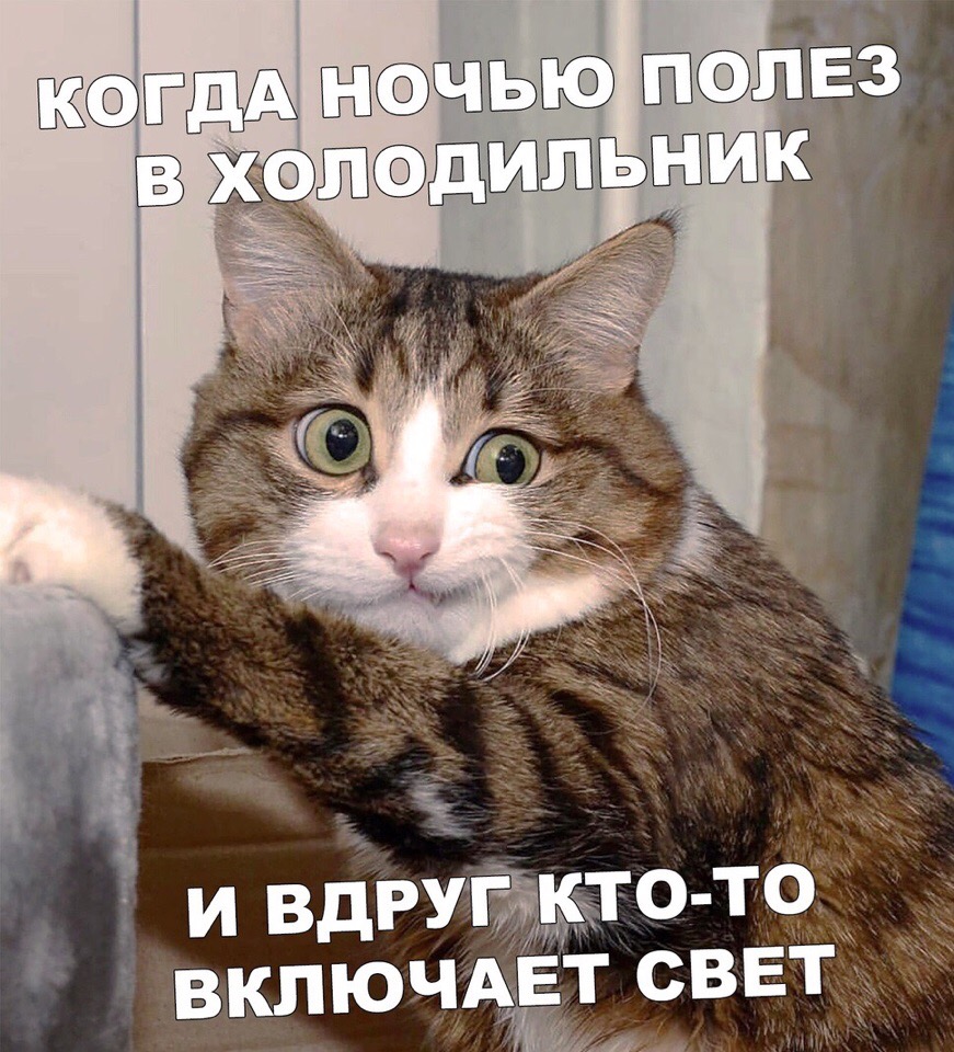 Опять, спалился