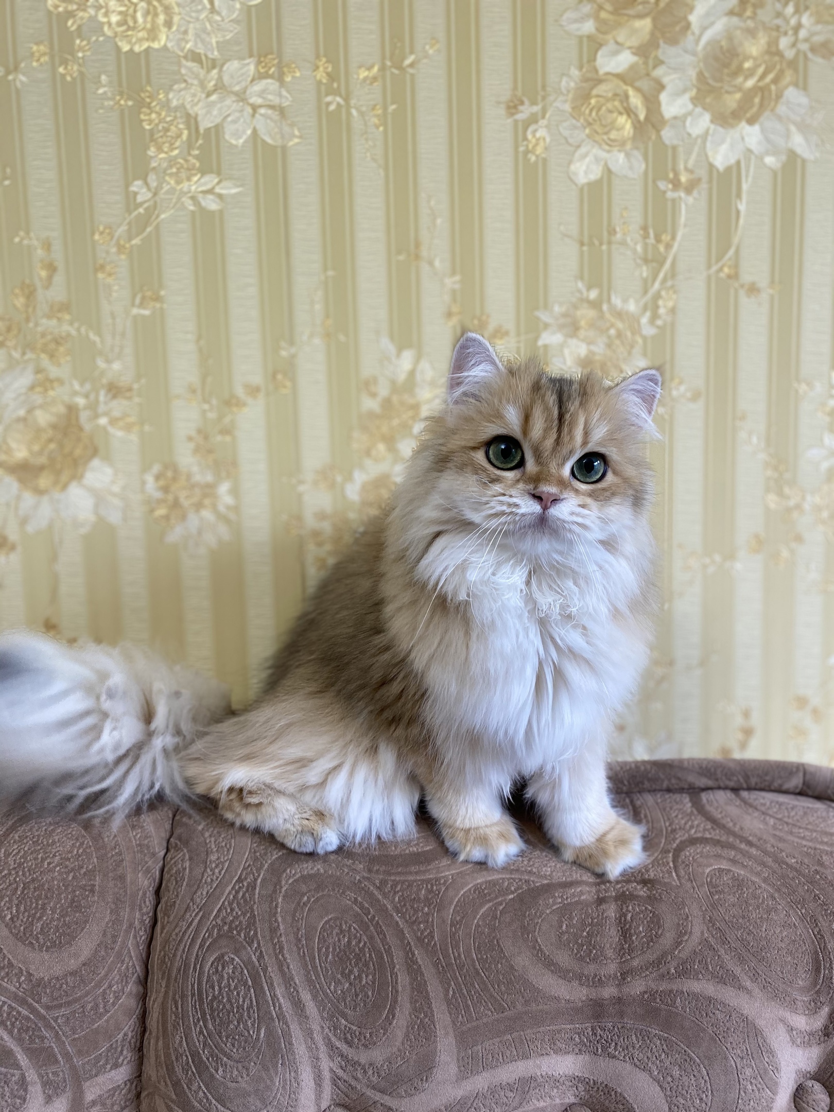 Приступайте к уборке, а я всё проконтролирую