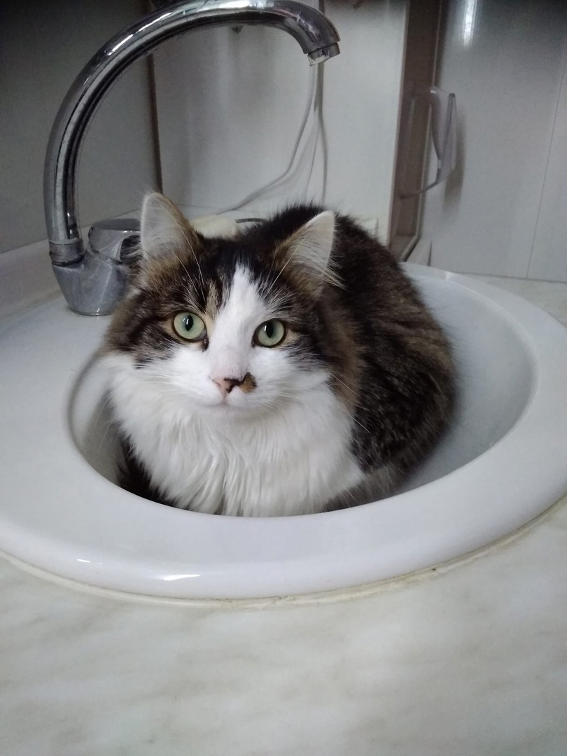 Моё утро начинается с умывашек