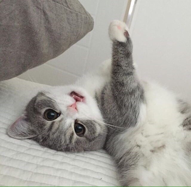 Выбражулька