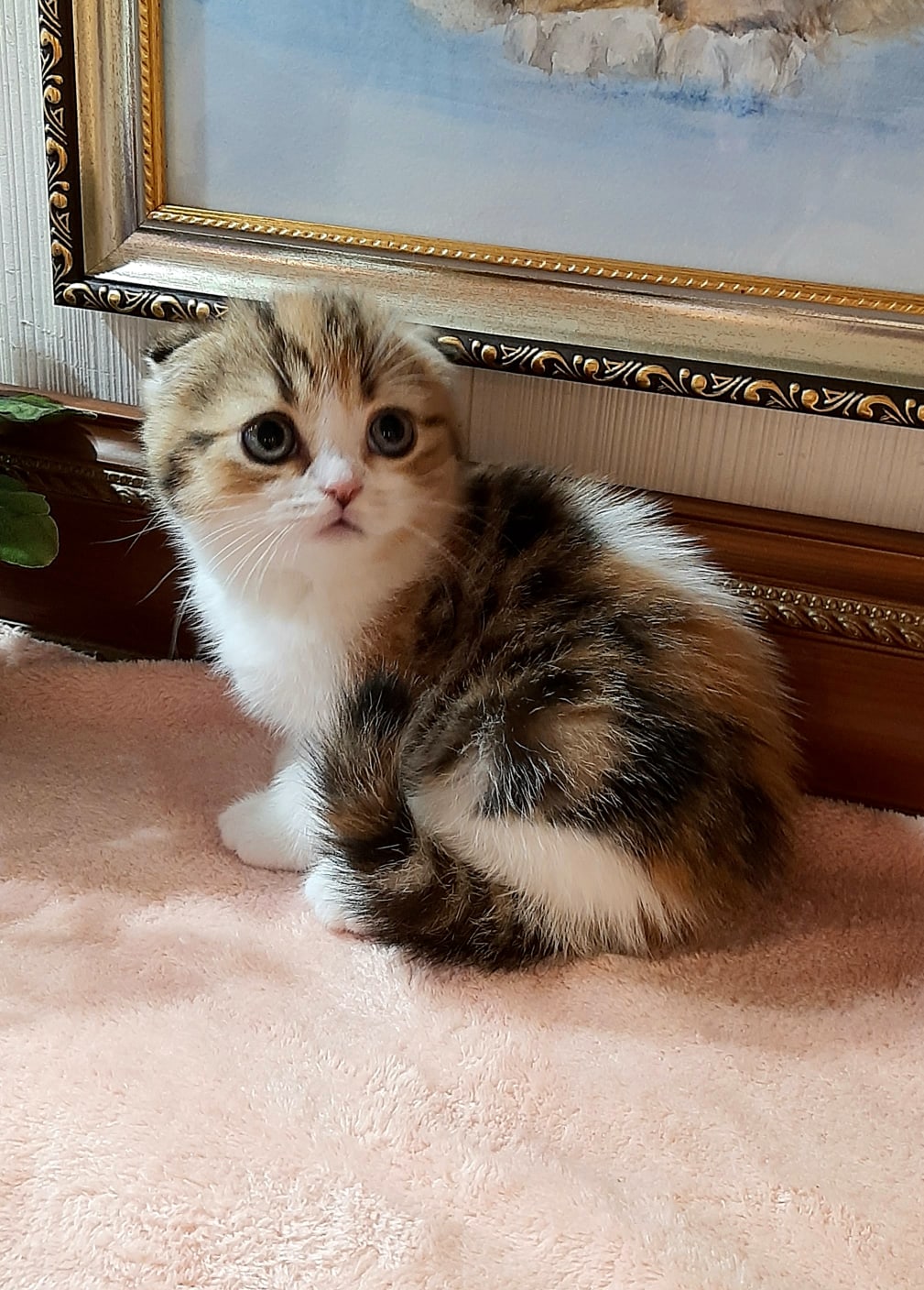 Не пойду кушать, я вчера уже кушала