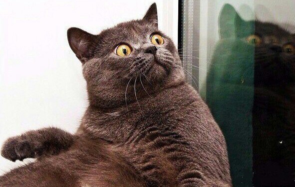 На улице уже почти светло, где завтрак