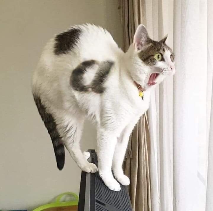 Опять гости идут, наши вкусняшки есть