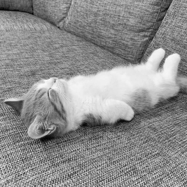 У ребёнка - выходной