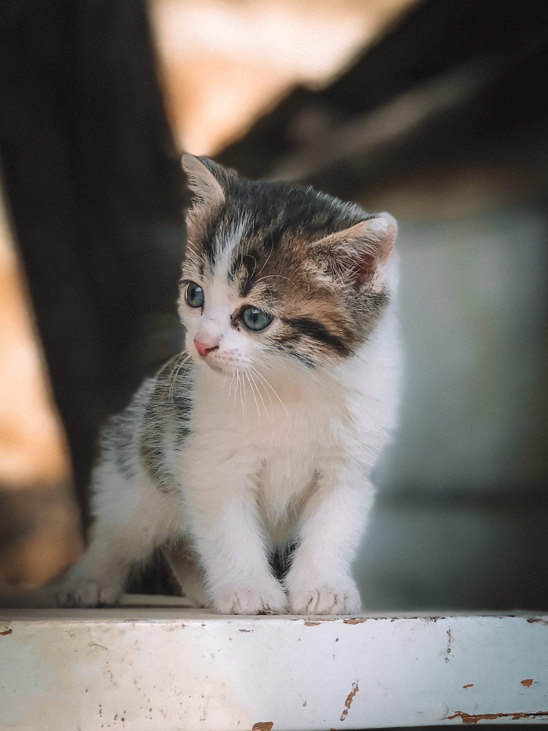 Что - то я высоко забрался, мам иди спасай меня