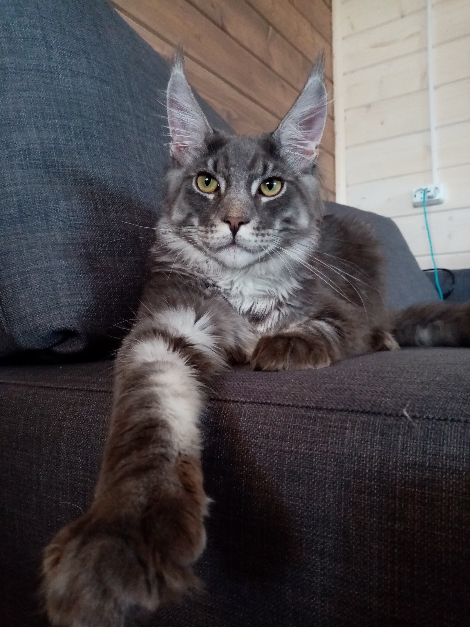 Все, внимание, я говорить буду