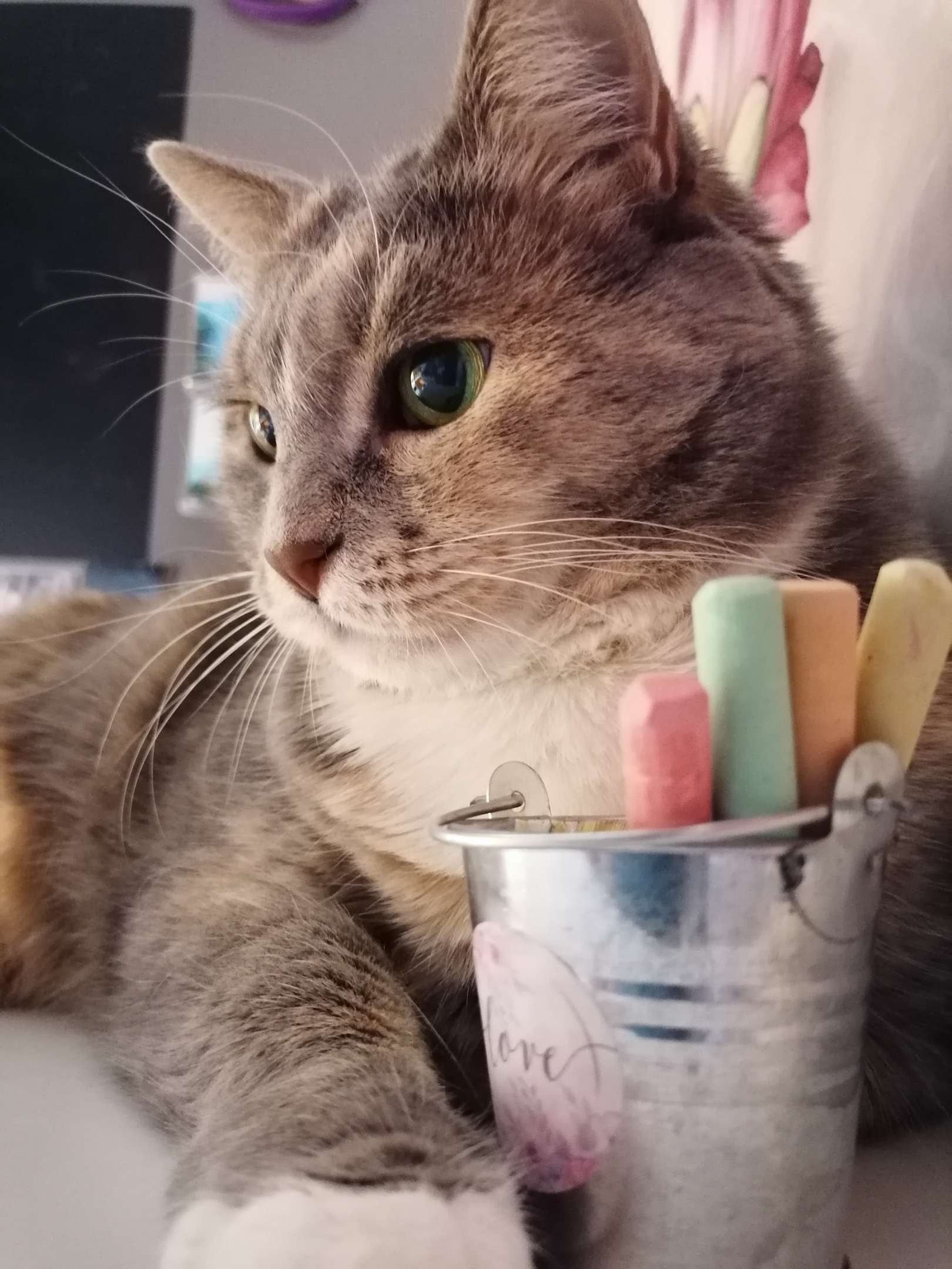 Ты,рисуй меня художник