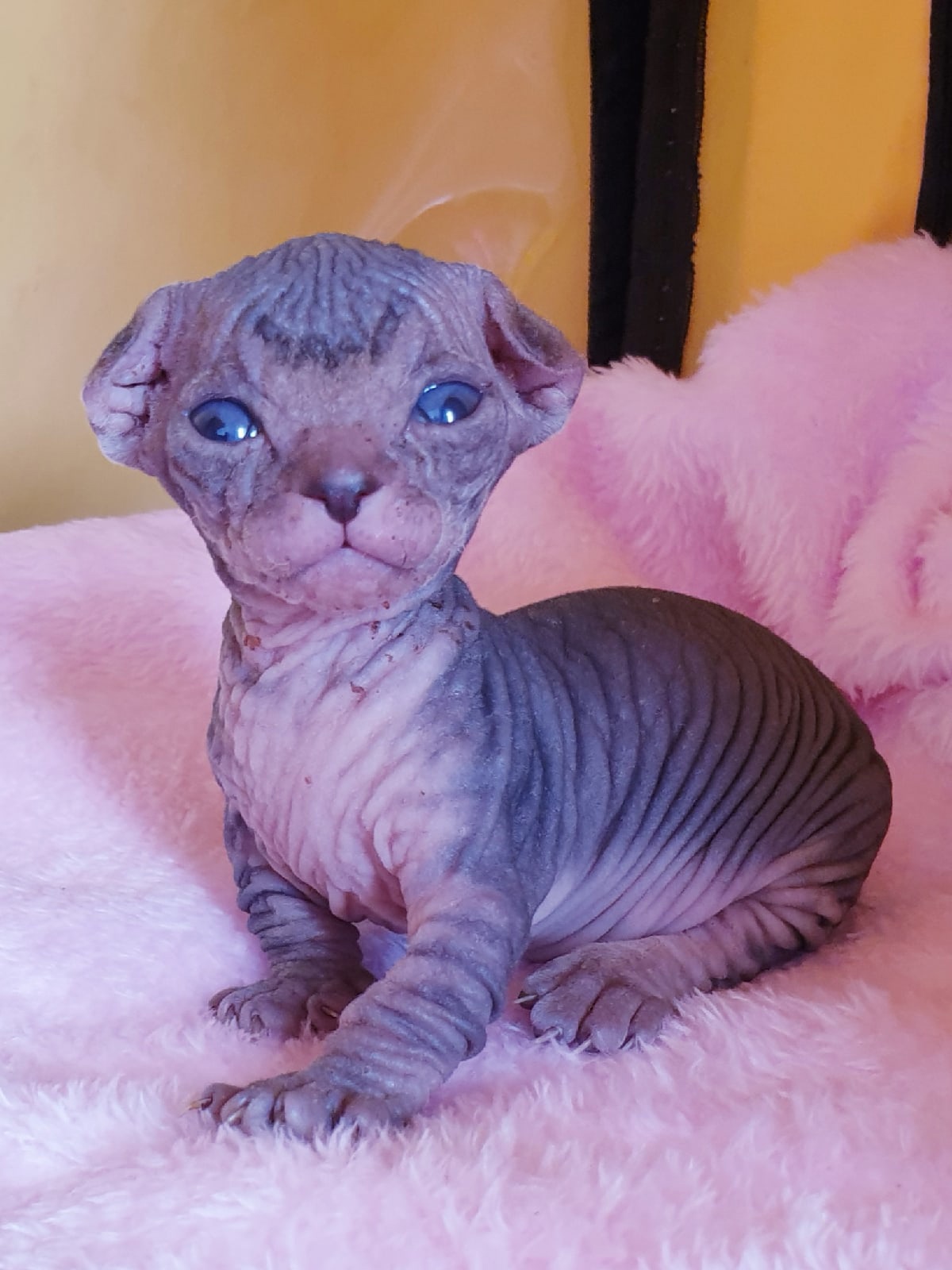 Соня проснулась