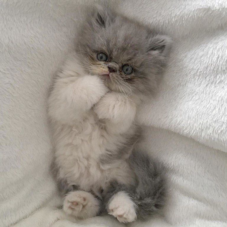 Хочу к кому - нибудь прижаться и не отпускать