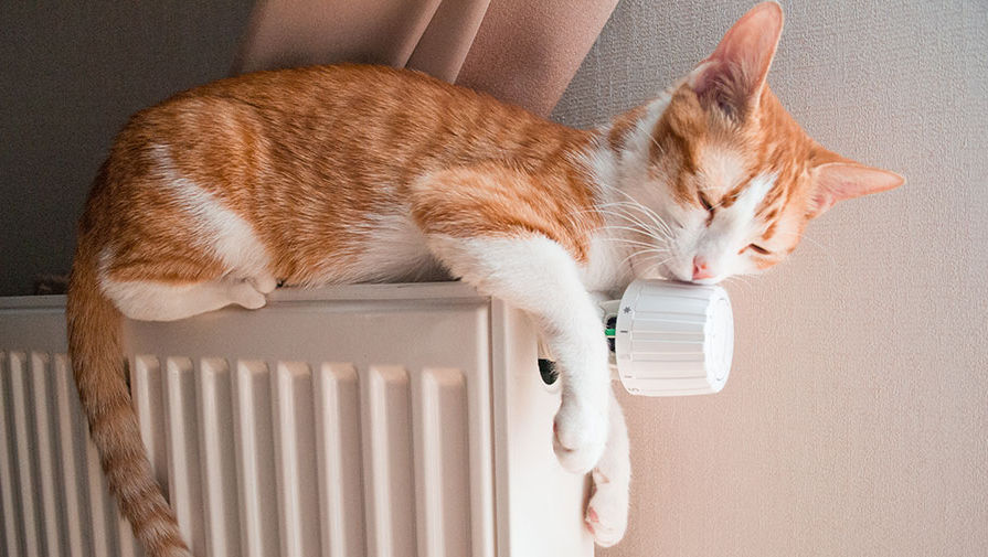 Зима прошла, а привычка осталась