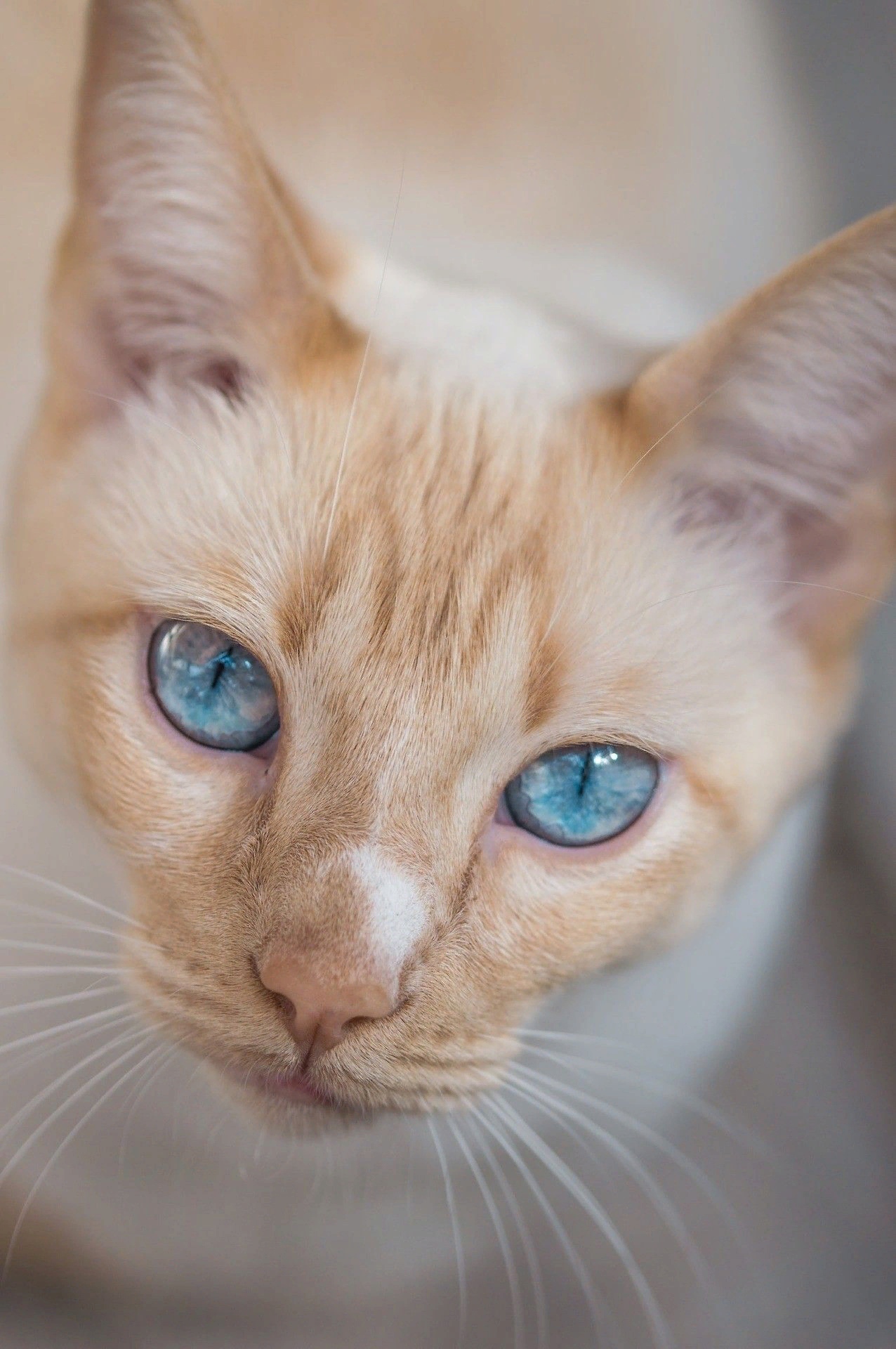 Ну какой же, я - очаровательный