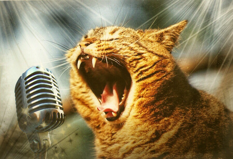 Лето, ах лето