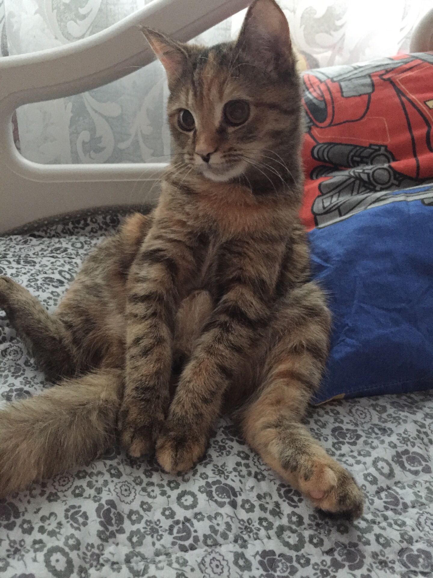 Хозяюшка, ну никак, на тебя не на любуюсь