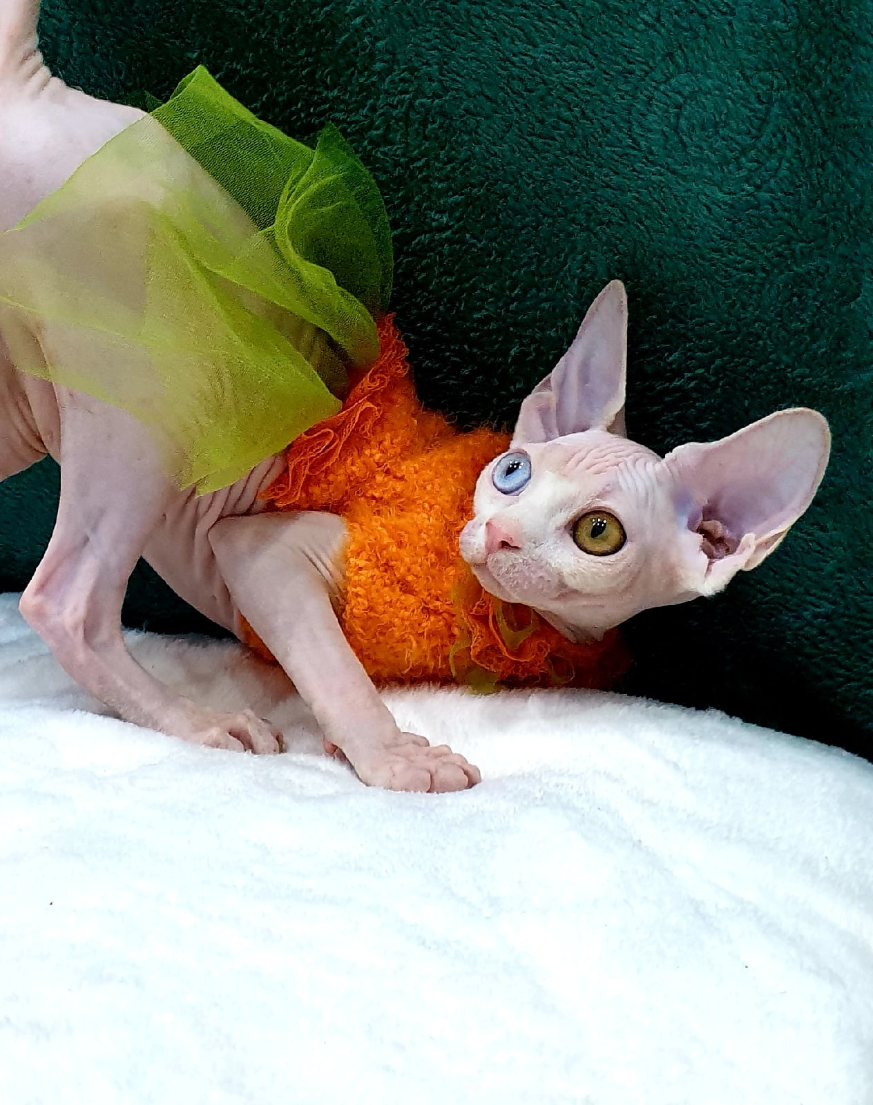 У меня бусики завалились, а я достать не могу