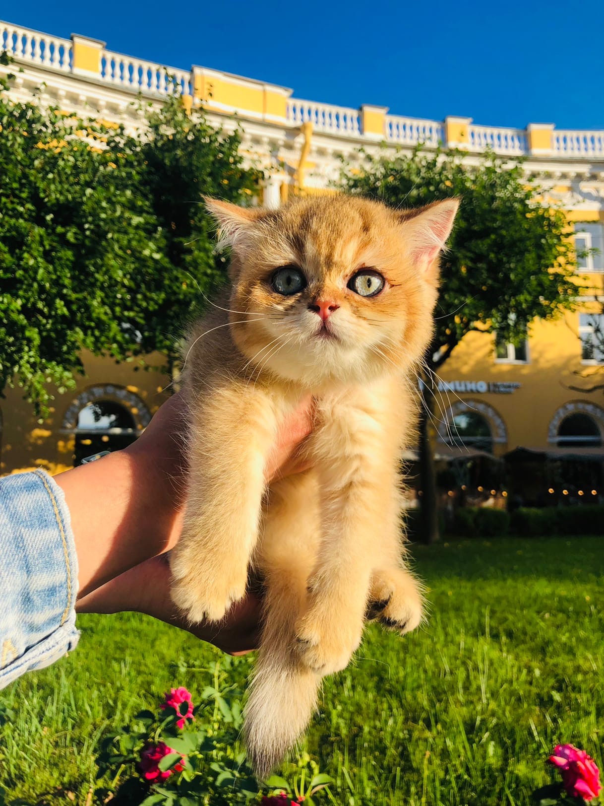 Только не отпускайте меня на травку, а то мне страшно