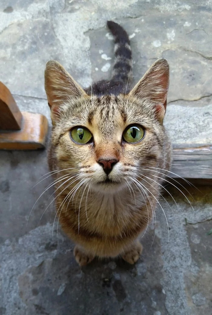 Здрасте соседи, молочком не угостите