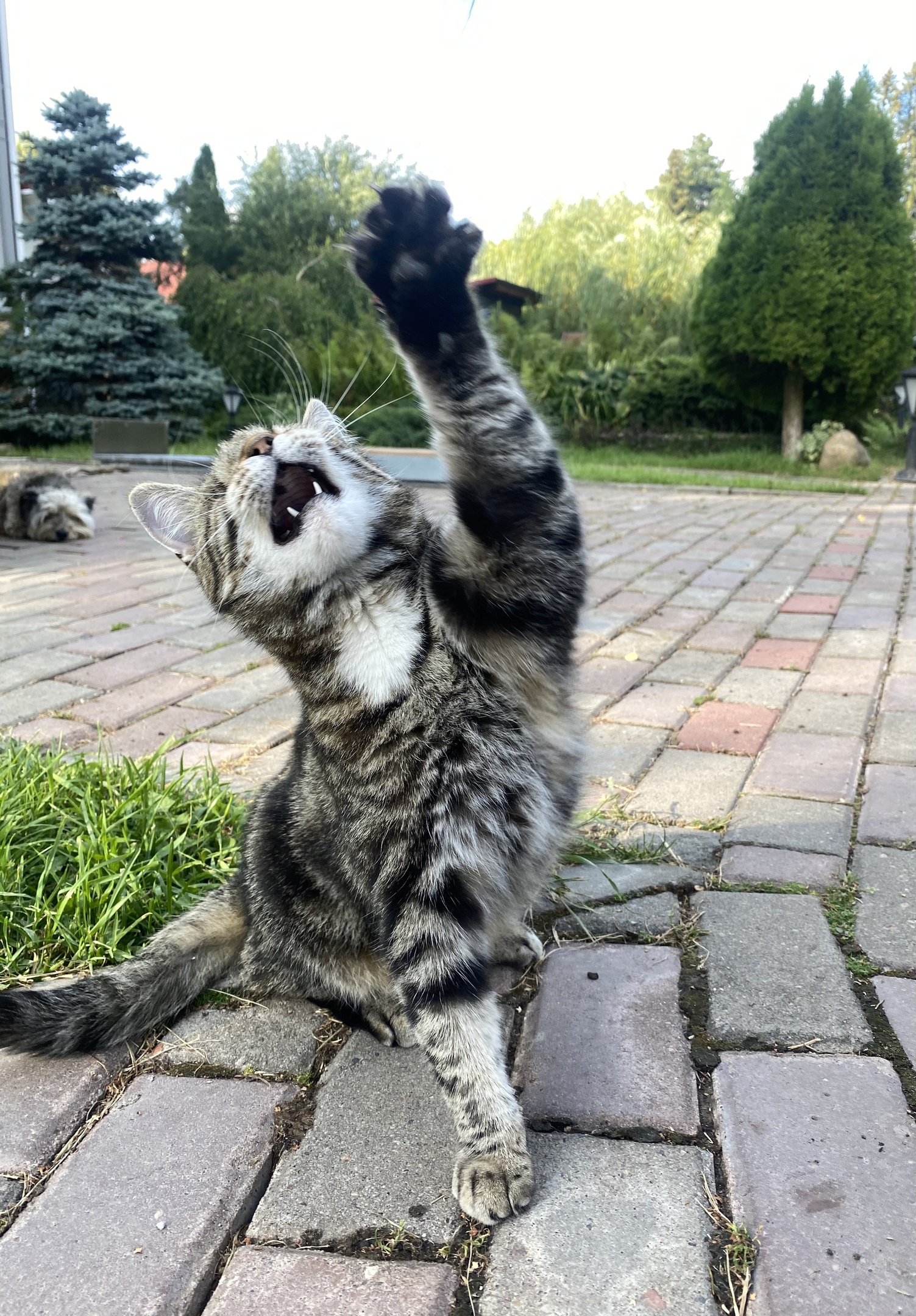 Дайте водички, мой друг пить хочет