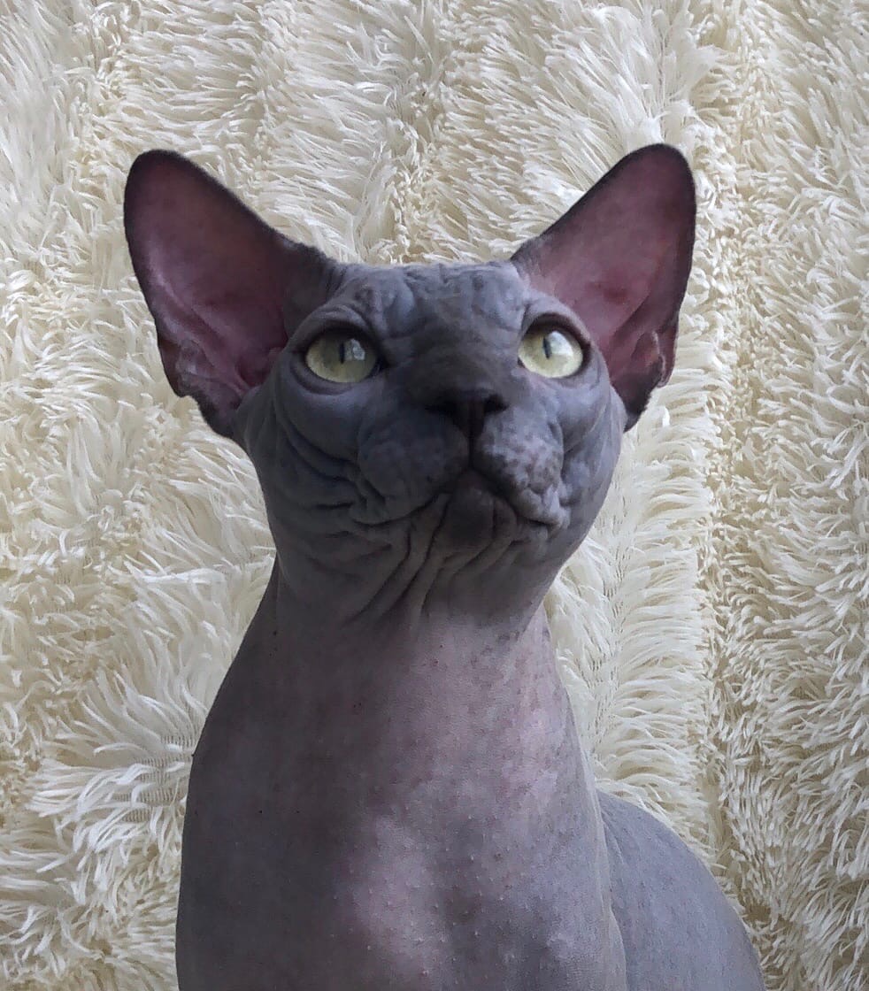 Ах, как хочется - любить и быть любимой