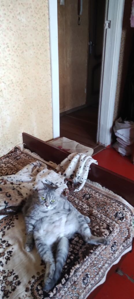 И жизнь хороша и жить хорошо