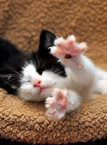 За день, мы устали очень