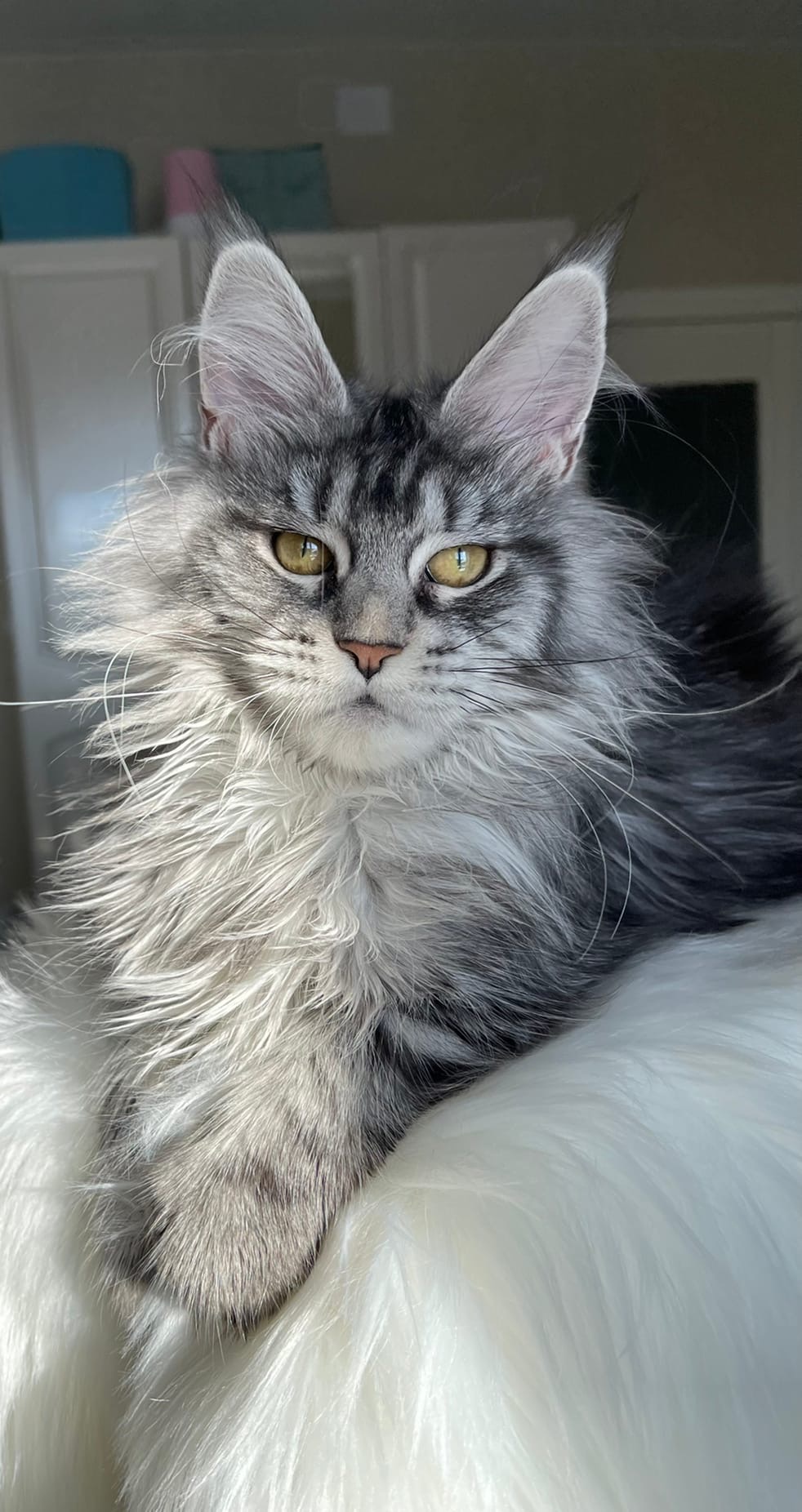 В выходные нужно отдыхать, этим я и занимаюсь