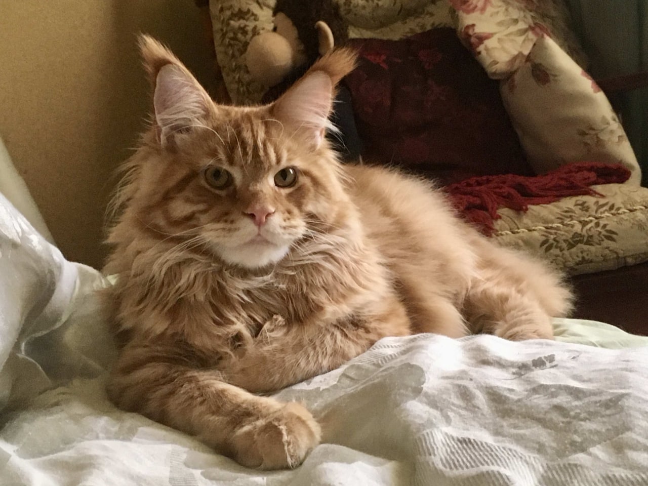 Гасите свет, спать пора