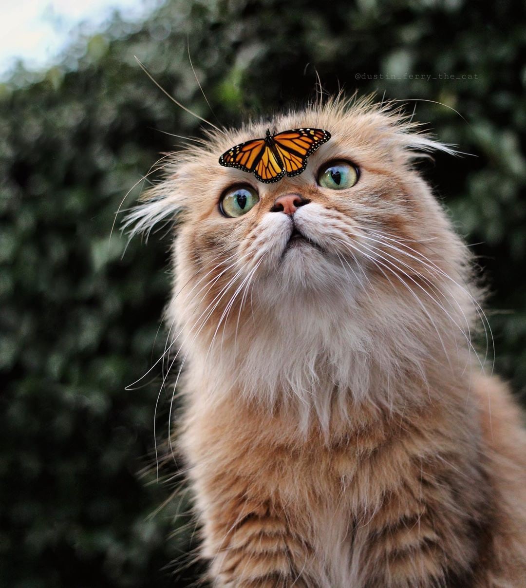 Мы с тобой - одной крови, ты и я