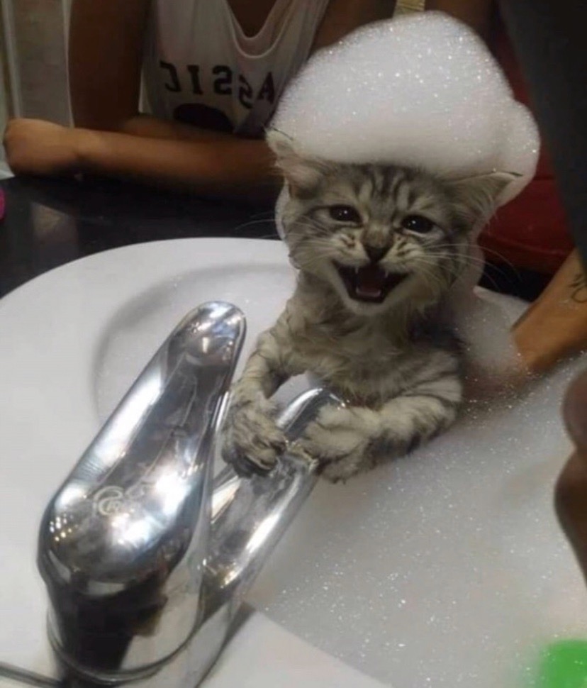 Меня моют, я смеюсь