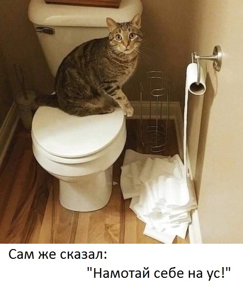 Что - то, не наматывается