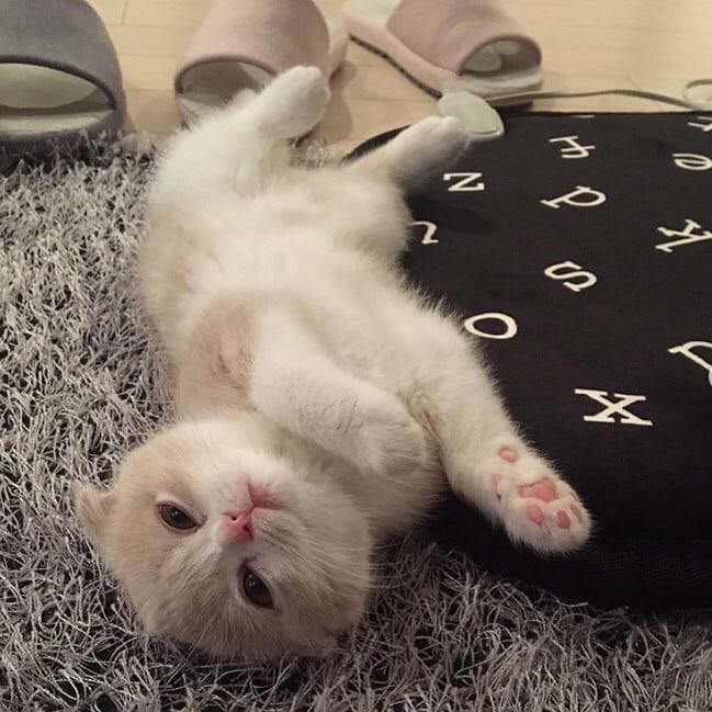 Кажется, я не выспался