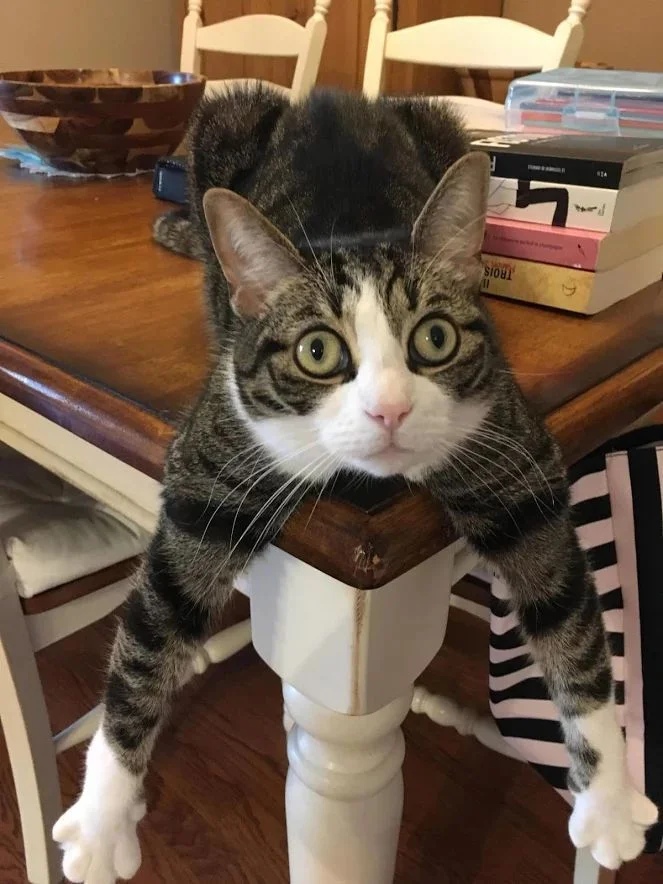 Хотите сесть покушать, делитесь со мной