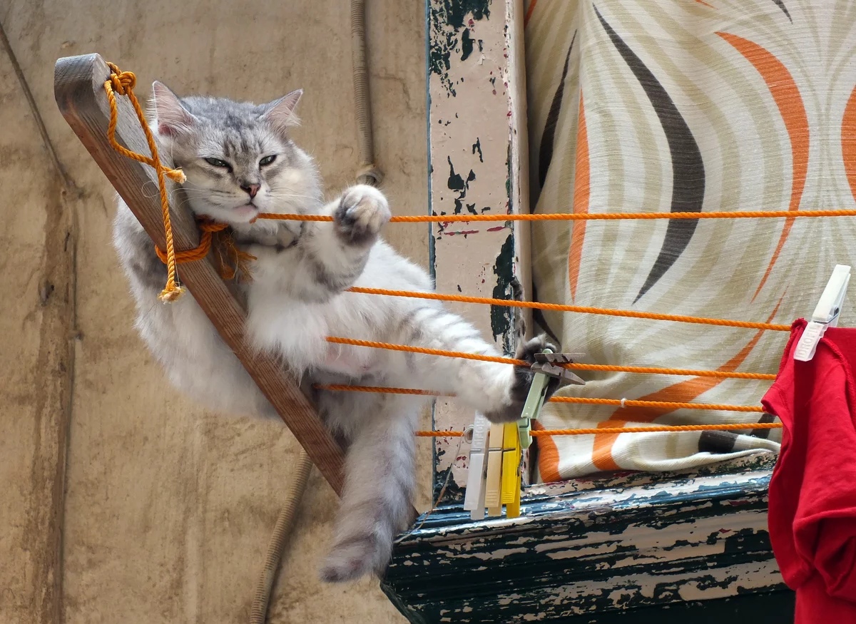 Не беспокойтесь за меня, я крепко держусь