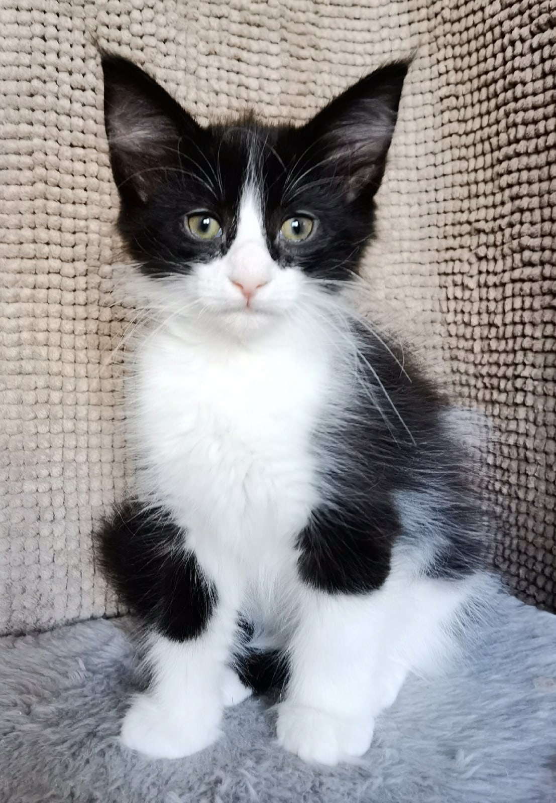 Спать пора,  да что - то не хочется