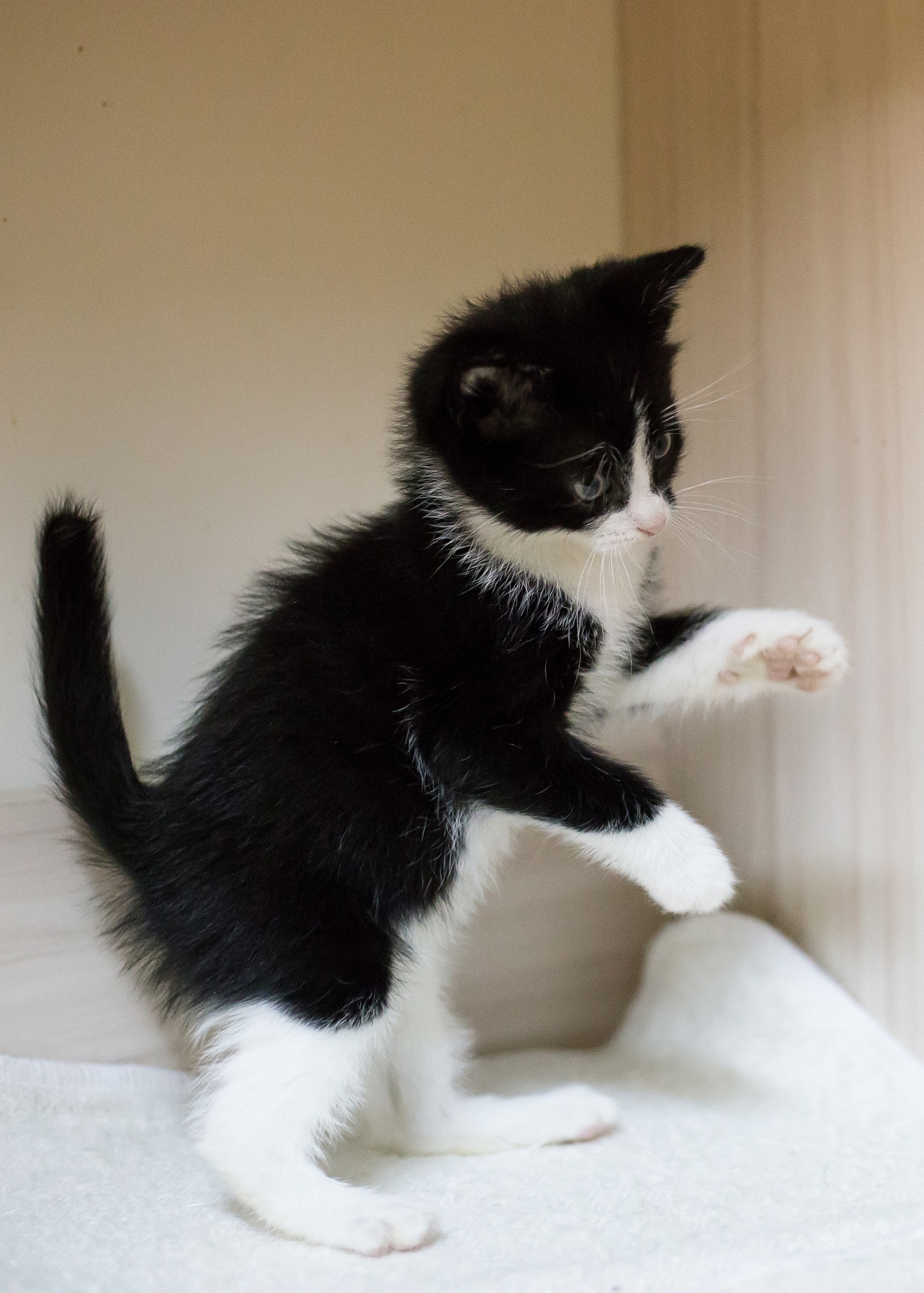 Я не против поиграть