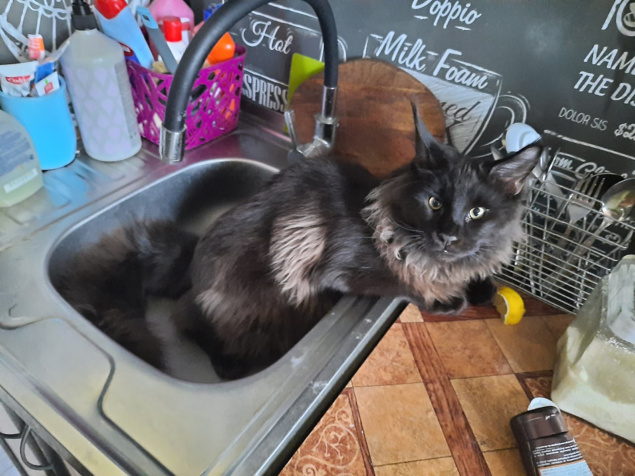 Я отсюда посмотрю, что вы готовите