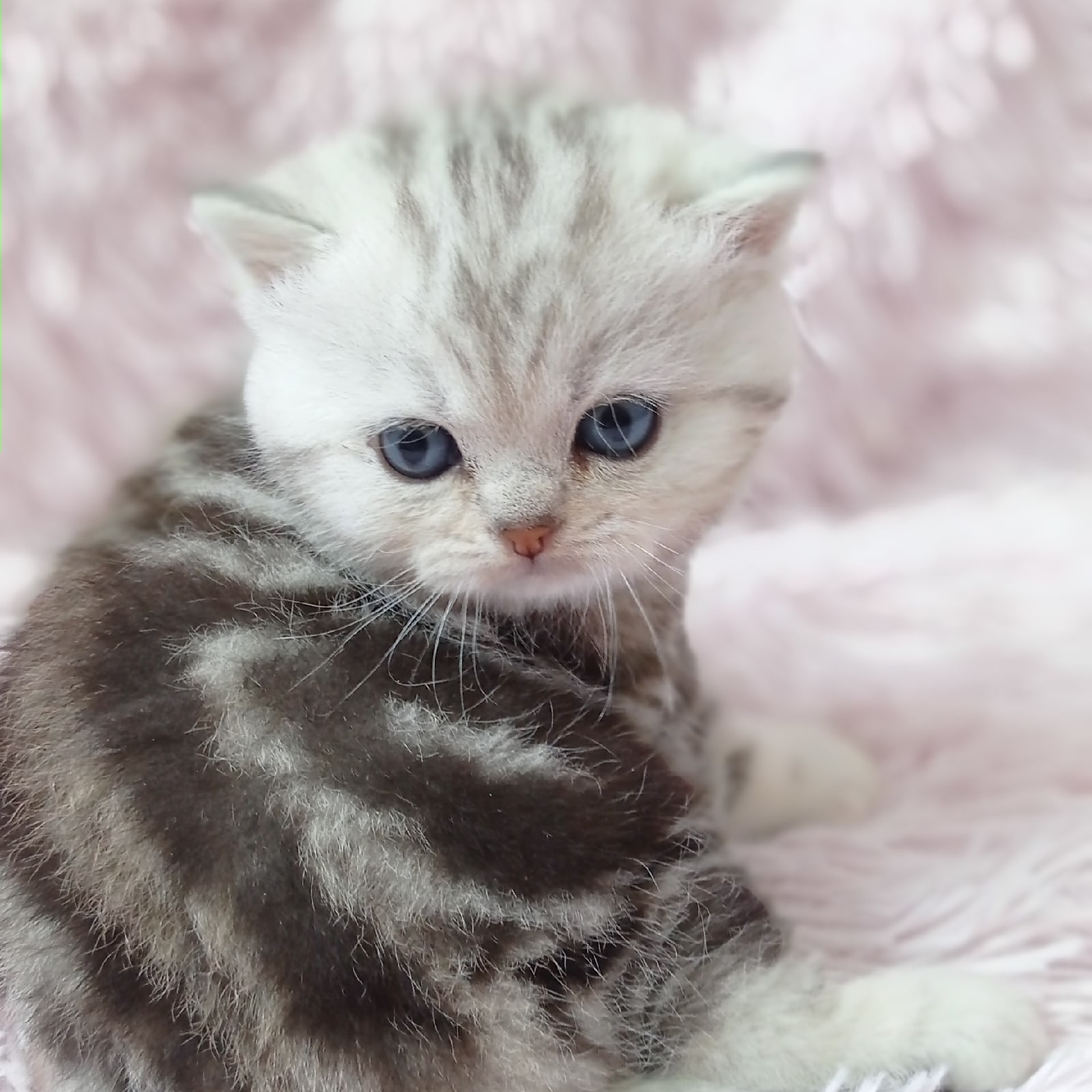 Не трогайте меня, я ещё не проснулся