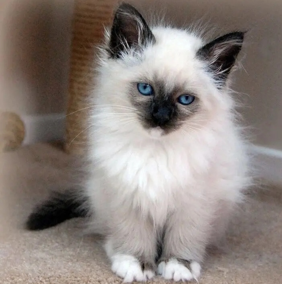 Что - то, утро какое - то грустное