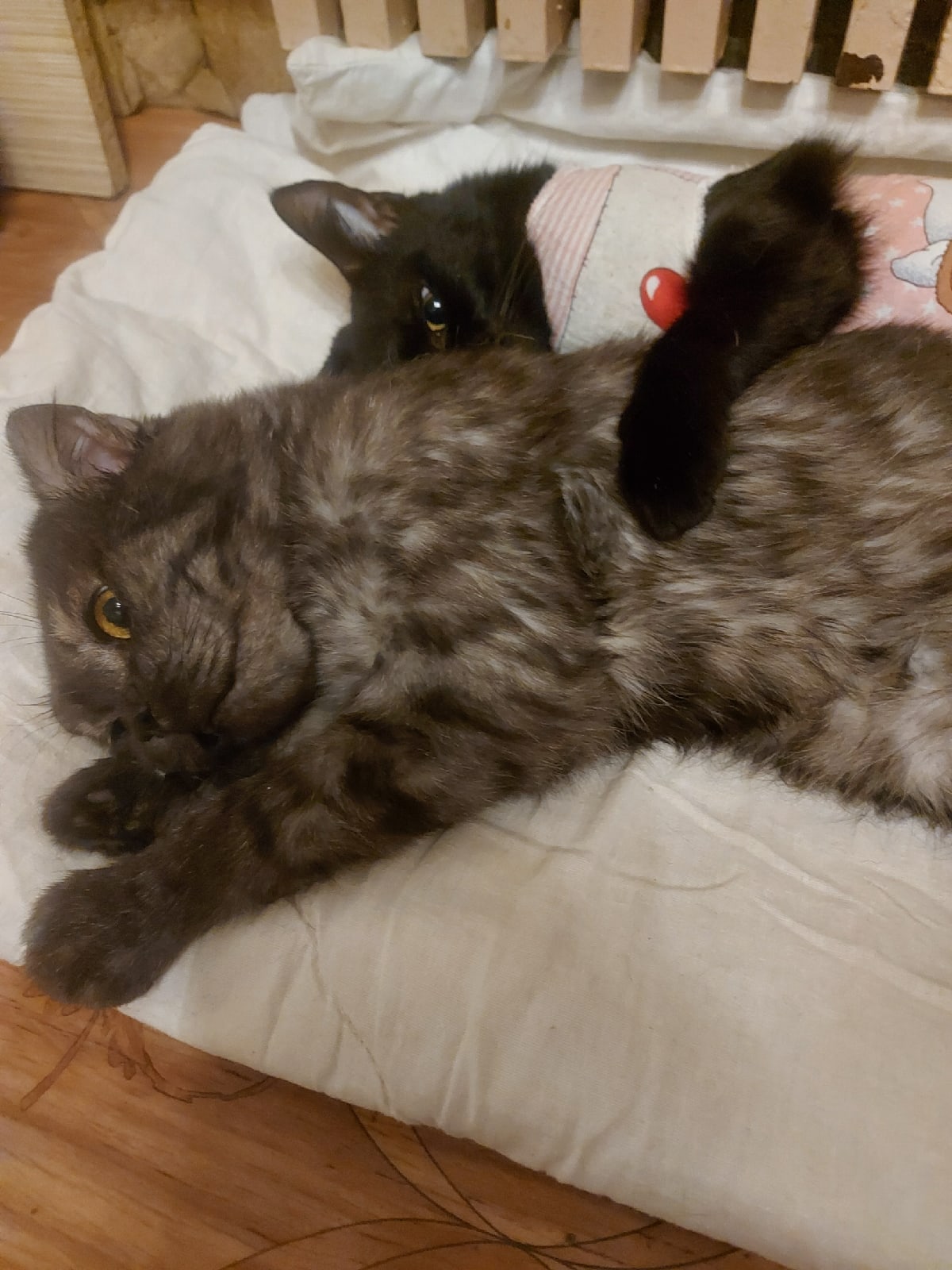 Да что, вы всё ходите, спать не даёте